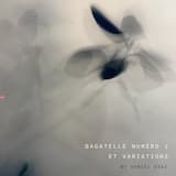 Bagatelle Numéro 1 (theme)