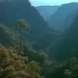 𝓞𝓵𝓭 𝓶𝓮𝓶𝓸𝓻𝓲𝓮𝓼