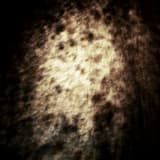 There Is a Will to Feel Being More Exhausted (Part One)