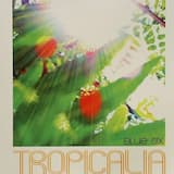 Tropicalia (Jay's Bahia vocal mix)