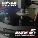 Them Old Skool Vibes (original mix)
