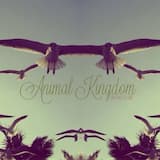 Animal Kingdom