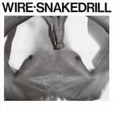 “A Serious of Snakes”