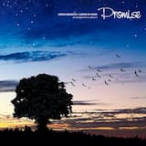 ホームタウン ドミナ