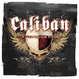 The Beloved and the Hatred