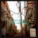 Pinch of Peer (Miii's 2013 Rework)