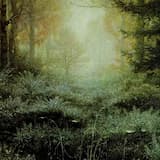 Legend of the Anchoress