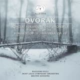 Violinkonzert a-Moll, op. 53: Allegro ma non troppo – Adagio ma non troppo