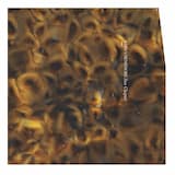 Golden (Breathing Is Easy)