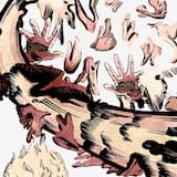 ants under magnification