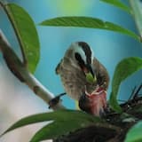 Springtime - Instrumental Folk in A minor (30 second version)