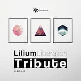 Kiwoterae (Sanaas remix)