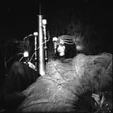 Sultana's Pleasure Garden