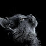 Infinite | Trap Music