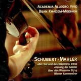 Der Tod und das Mädchen: III. Scherzo: Allegro molto - Trio