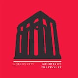 Grooves on the Vinyl (extended mix)