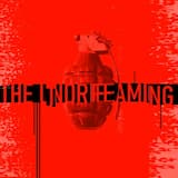 And Everything Came True