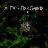 ALEXi - Flax Seeds