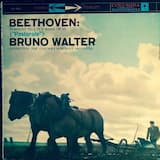 Symphony no. 6 in F major, op. 68 (“Pastorale”): I - Allegro ma non troppo (The Awakening of Joyful Feelings Upon Arrival in the Country)
