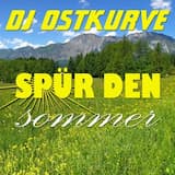 Spür den Sommer (Wordz & Brubek Remix)