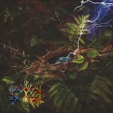 Bom retorno (De volta às origens)