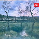 Violin Concerto No.1 in C Minor Op.88 - I. Allegro Moderato