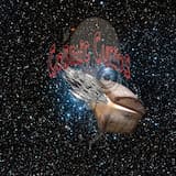 Eastern Teutonic Curfew