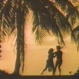 only u (and the moonlight)