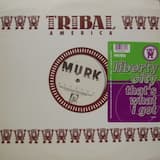 That's What I Got (Murk vocal mix)