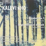 Symphony no. 3 "Sinfonia concertante": I. Andante (cadenza)