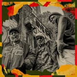 Swiftly (The Right One)