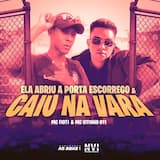 Ela Abriu a Porta, Escorrego & Caiu na Vara