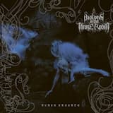 Wanderer Above the Sea of Fog