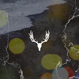 Green Dream (original mix)