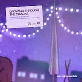 Growing Through the Cracks