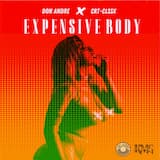 Expensive Body