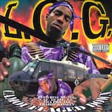 Camouflaged Down (Radio Edit)