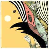 International Love Affair (edit)