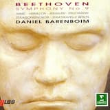 Symphony no. 9 in D minor, op. 125 "Choral": I. Allegro ma non troppo, un poco maestoso