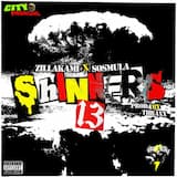 Shinners 13