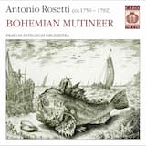 Symphony in D major, A21: I. Largo. Allegro assai