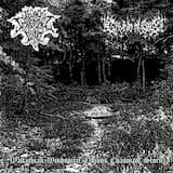 Odious Chasm of Scorn