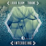 Interbeing (Tribal Tech Mix)