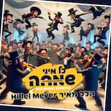 כל מיני שמחה