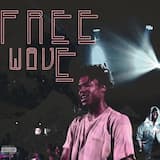 Freewave 1