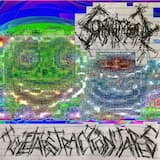 Queenwish Opistognathus Rosenblatti