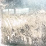 Shake Under the Eaves 1