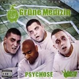 100 Prozent Sektenmuzik