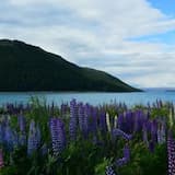 Relaxing and Hopeful Emotions (Main)