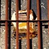 (Warszawa) 1. "Inside" Jazz Club, Ventilator 2. Restaraunt Kitchen Ventilator, Music, Wartburg Setting Off